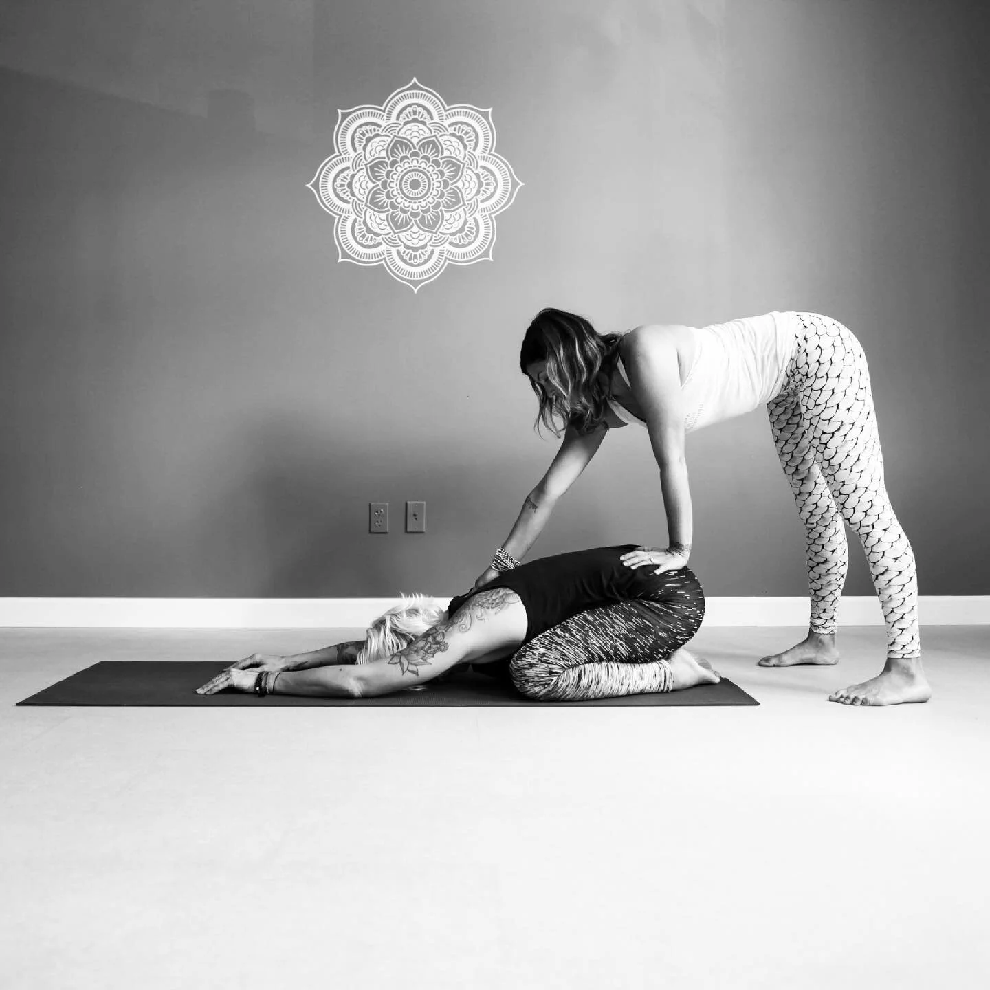 We are excited to offer the Moksha Yoga Studio 200 Hour Teacher Training Program
with founder, Cora Rosen this fall! @cora_mokshayogastudio 

Sept 9th - Dec 5th ( Sep 9-12, Sep 22-26, Oct 7-10, Oct 21-24, Nov 11-14, Nov 18-21, Dec 2-5)

Study in the 