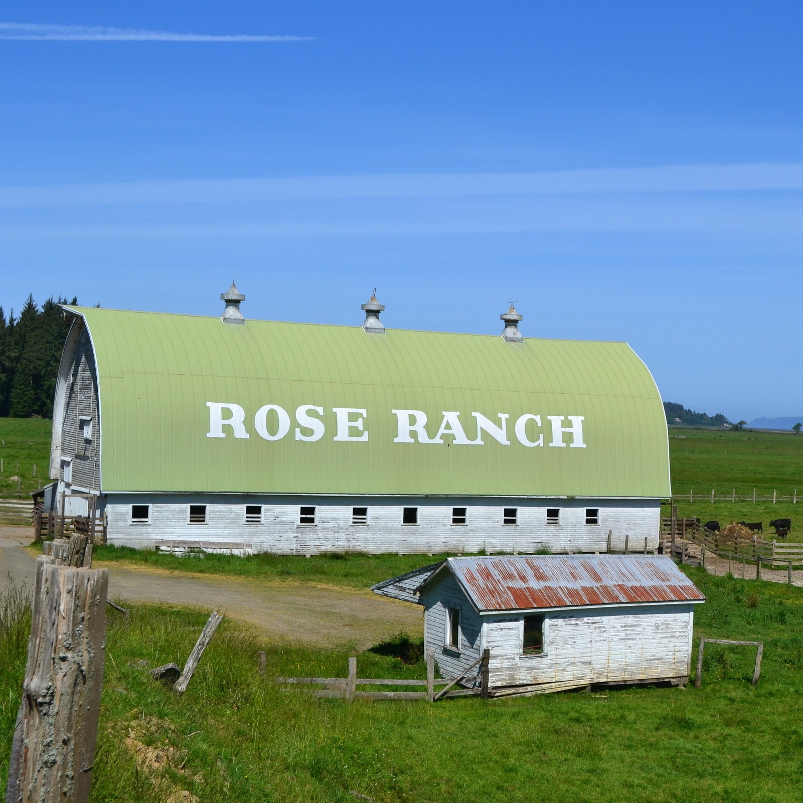 Rose+Ranch+Barn+02+©+Ani+Pendergast.jpeg
