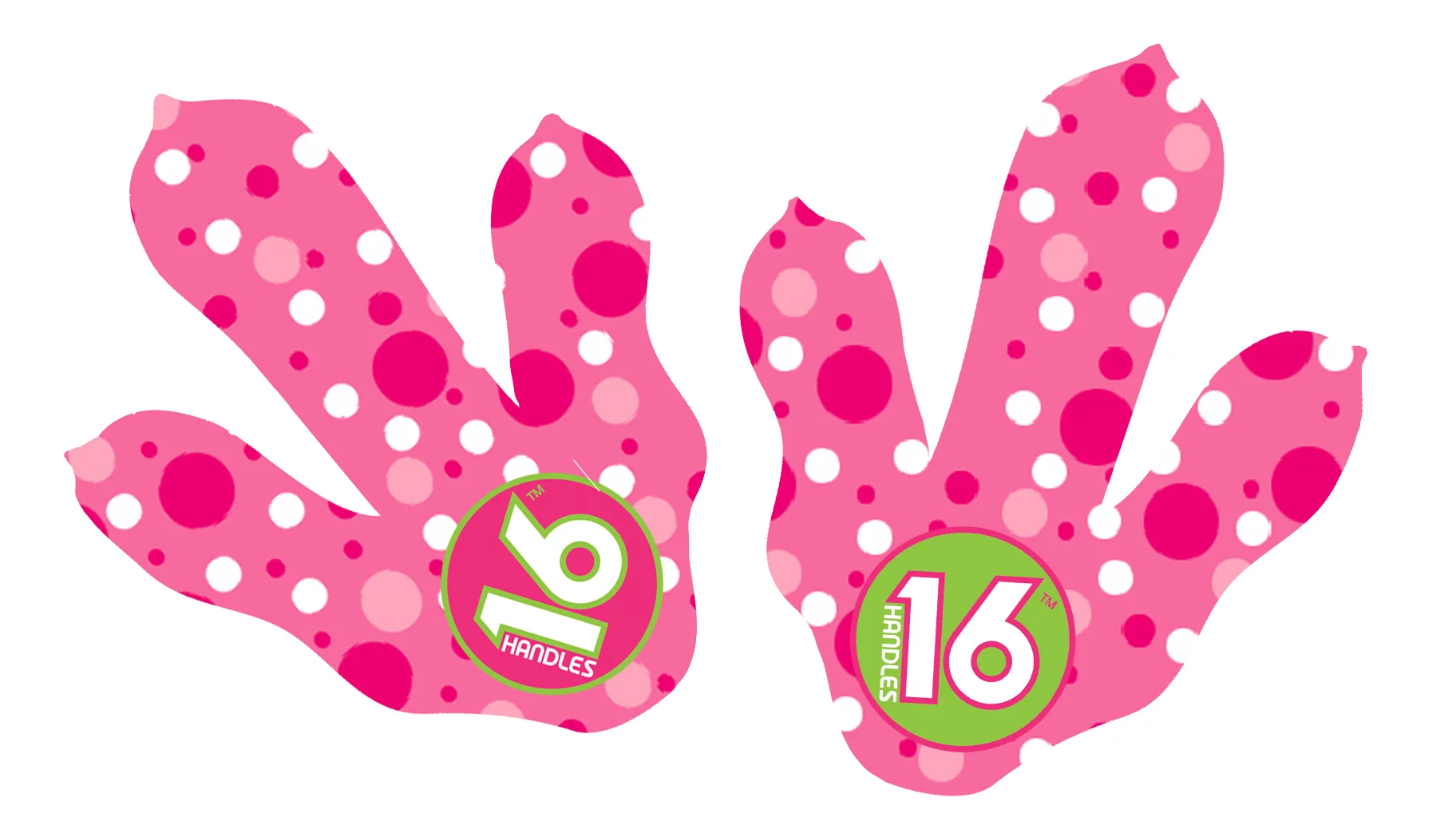 16Handles title pg.jpg