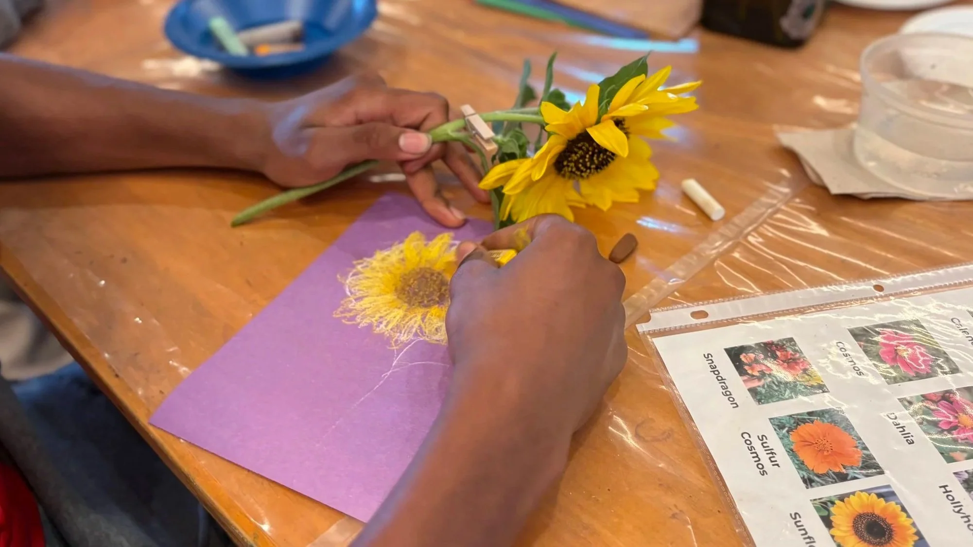 Botanical Drawing with Pastels