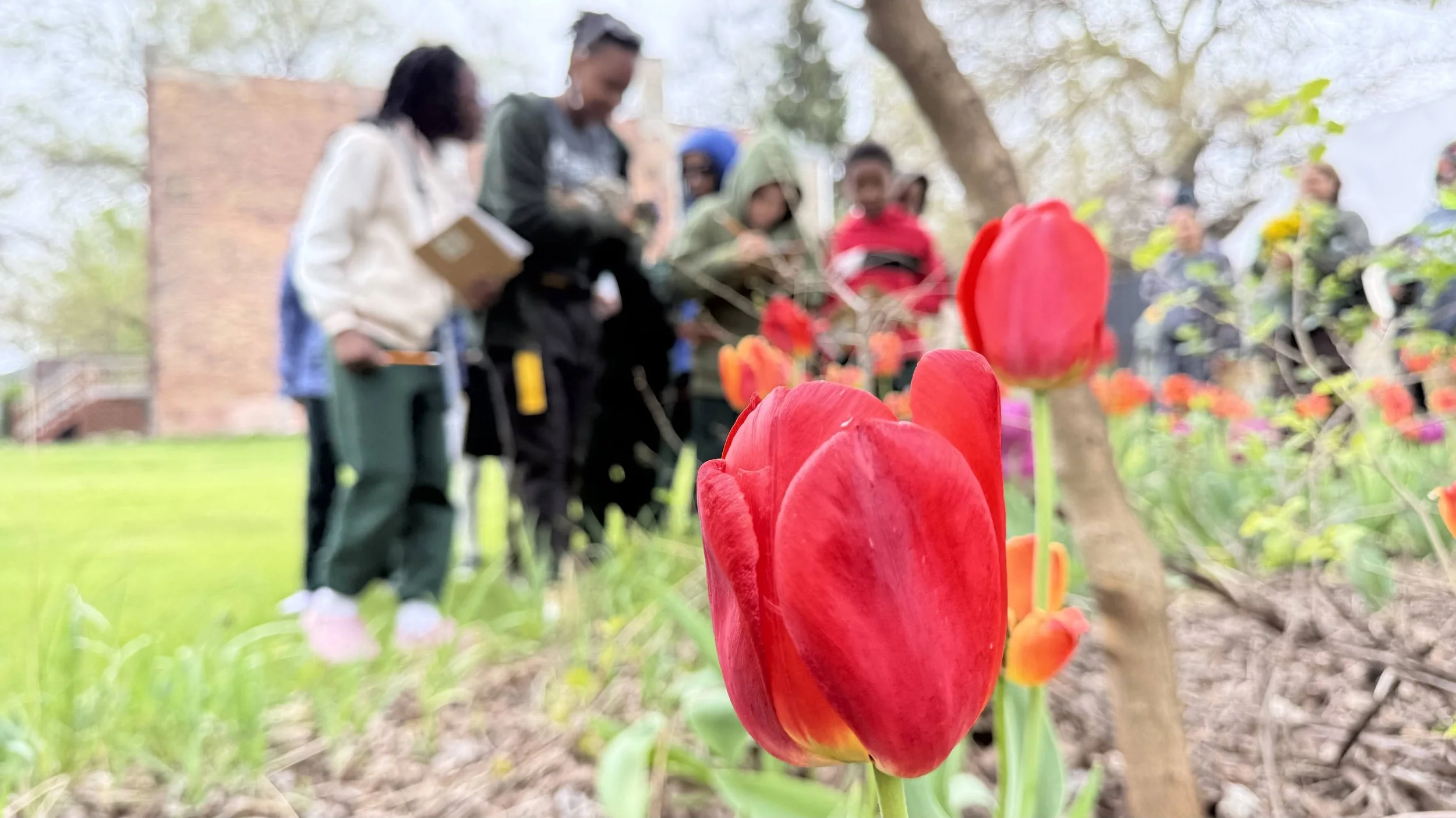 Spring 2026 at The Common|Wealth
