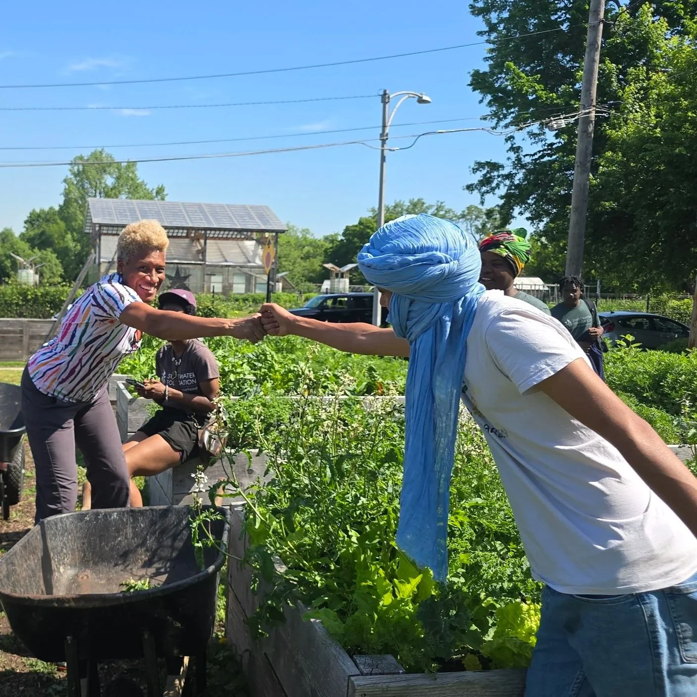 From the Hamada Desert to The Common|Wealth: How Values-Based Partnerships Harvest Global Regeneration on Chicago’s South Side