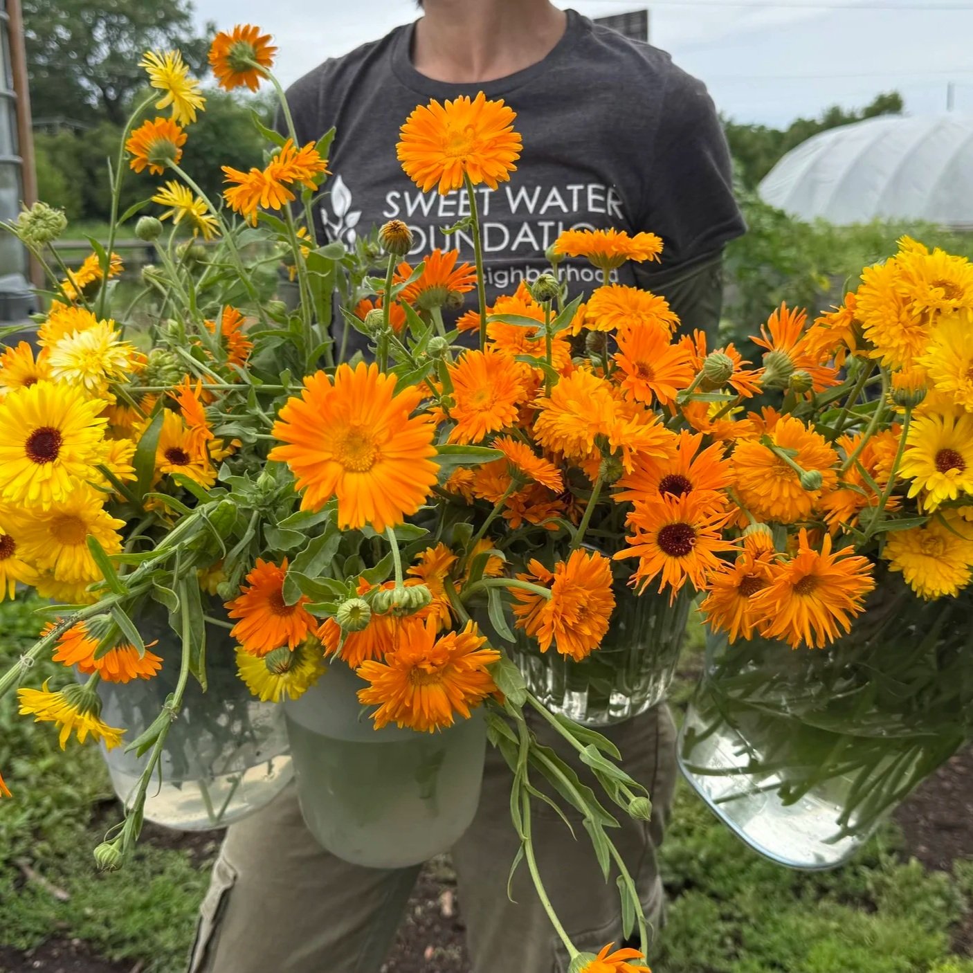 Summer 2026 at The Common|Wealth: A Season of Abundance and Connection