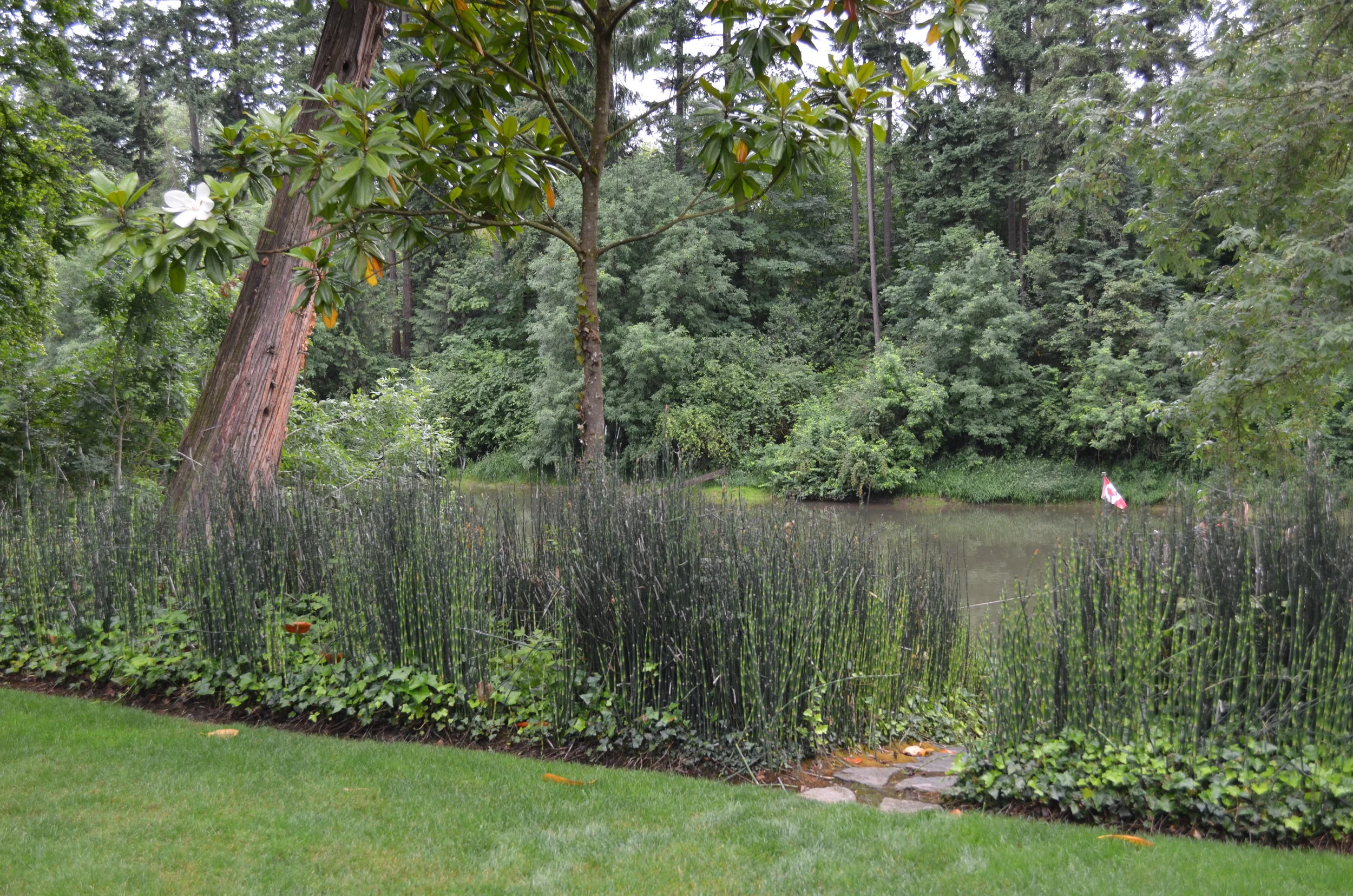 Rivergrove Report November 2017 — City of Rivergrove