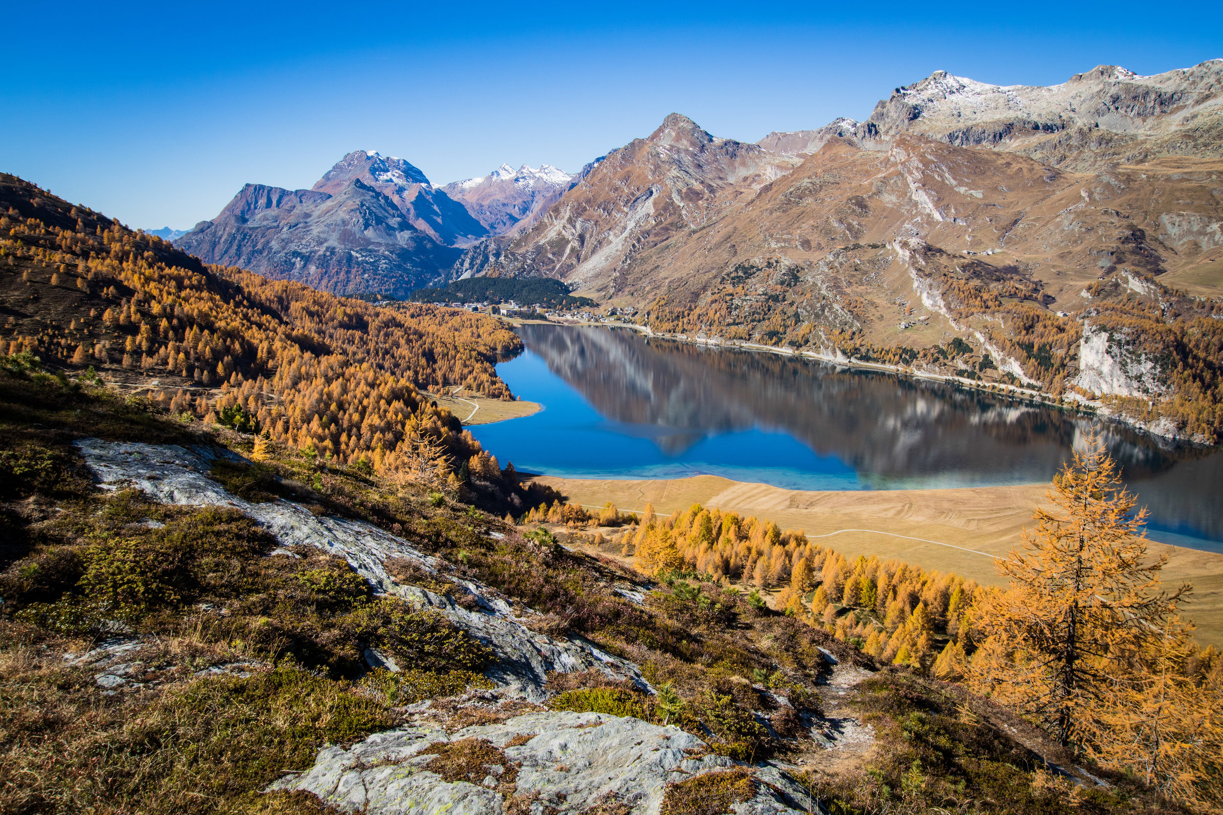 Blick über den Silsersee