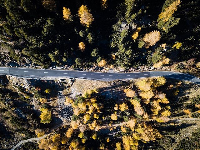 Autumn Road

#bodylpics
#clickalps
#natura_love_
#top_world_shot
#lwt_destinations
#igs_europe 
#ig_great_pics 
#euro_shots
#world_great @world_great
#igworldclub_landscape
#love_bookfactory
#myplanet_nature
#diewocheaufinstagram
#bergpic @bergwelten