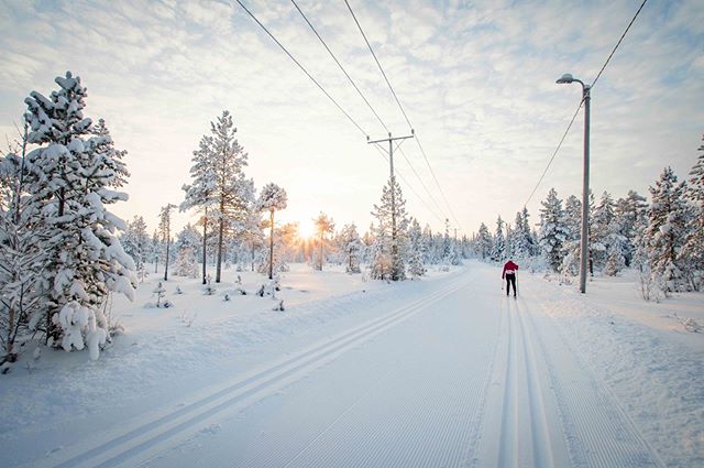 Perfect Cross-country skiing trail and beutiful light. 
#kontikireisen 
#reisenstattferien 
#flyedelweiss 
#visitlapland @visitlapland 
#visitfinland @ourfinland 
#arcticluosto @visitluosto
#bodylpics
#finland
#suomi