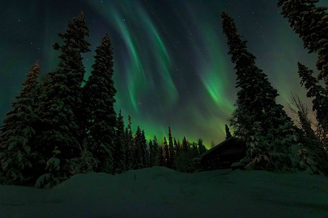 Thinking back to the great aurora in Lapland.

#kontikireisen @kontikireisen 
#reisenstattferien @globetrotter_schweiz 
#flyedelweiss 
#visitlapland @visitlapland 
#visitfinland @ourfinland 
#arcticluosto @visitluosto
#bodylpics
#natgeo100contest
#yo