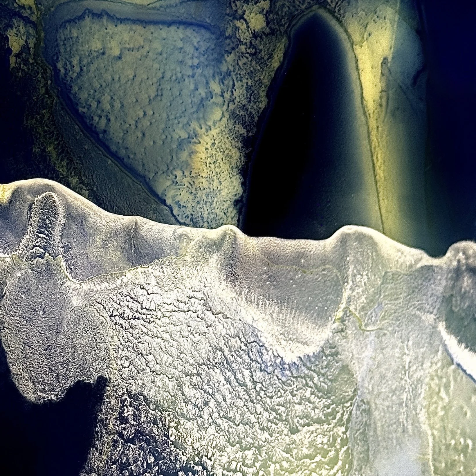 new-home-0426.jpg