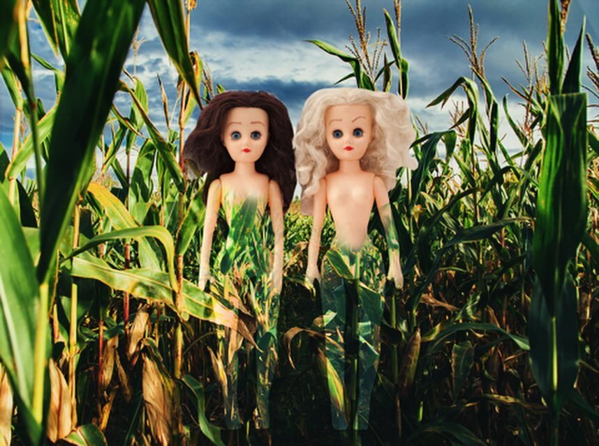 Dolls of the Corn

#childrenofthecorn #corn #cornfields #paige #ginger #paigeandginger #adventures #naked #nude #nudistlife #dolls #dollstyle #dollstory #dollstories #dollstagram #dollsofinstagram #art