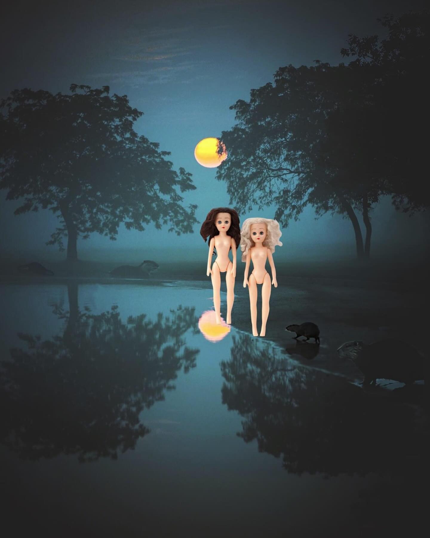 &ldquo;Shining all the beavers in the moon light!&rdquo; - Paige

(background 📷: Tony Detroit, Unsplash)

#paige #ginger #paigeandginger #adventures #naked #nude #nudistlife #dolls #dollstyle #dollstory #dollstories #dollstagram #dollsofinstagram #a
