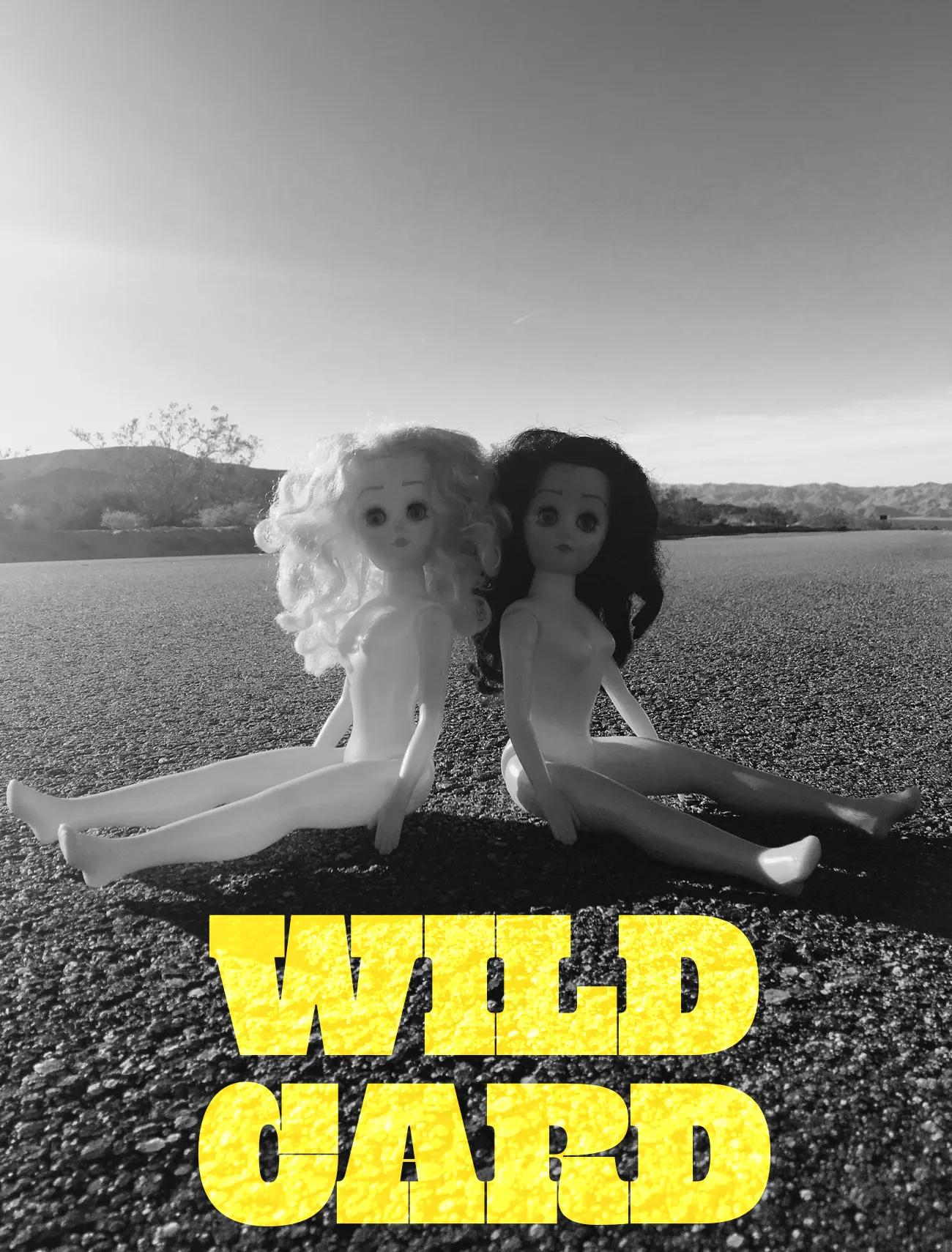 Black and white with Paige and Ginger sitting on the road in Joshua Tree with text in yellow: WILD CARD