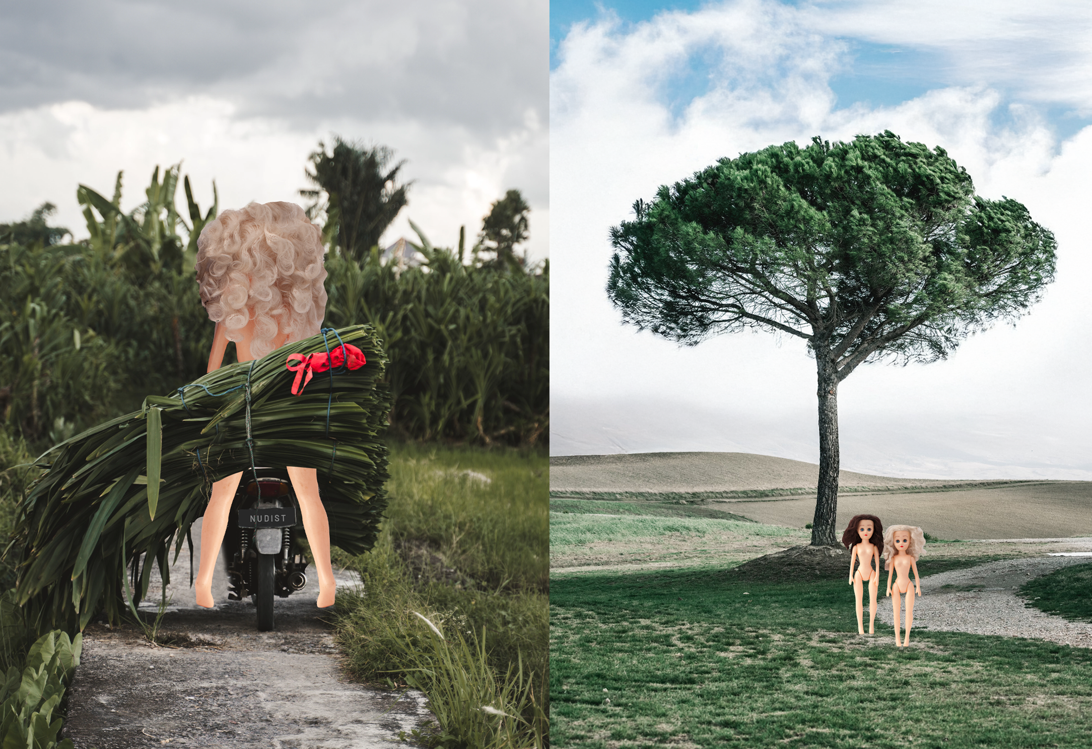 Ginger on moped with cut grass on back in Vietnam,  Paige and Ginger standing in front of a lone tree
