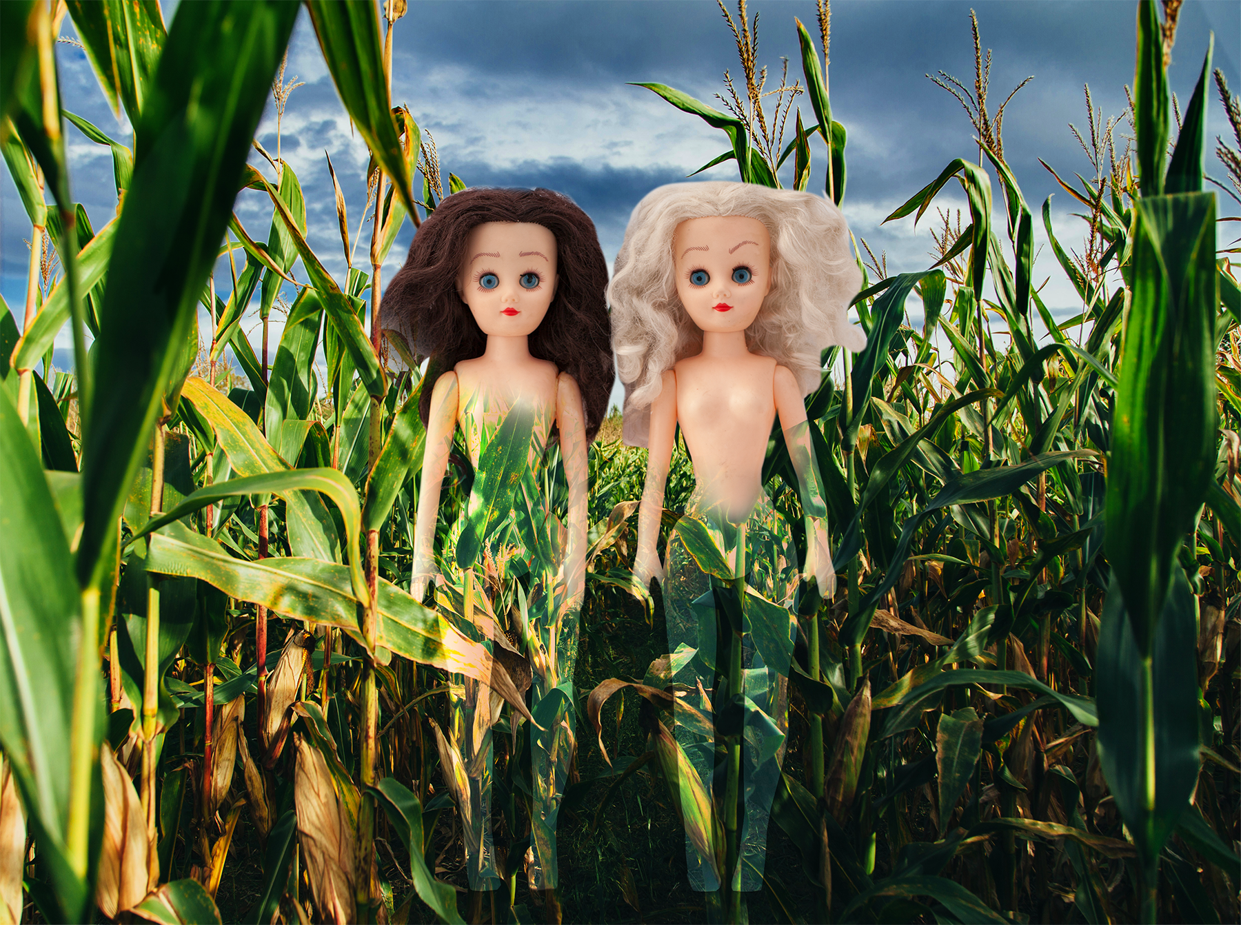 Paige and Ginger standing in front of a corn maze