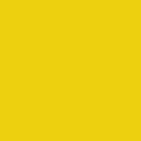 color-chip-yellow.png