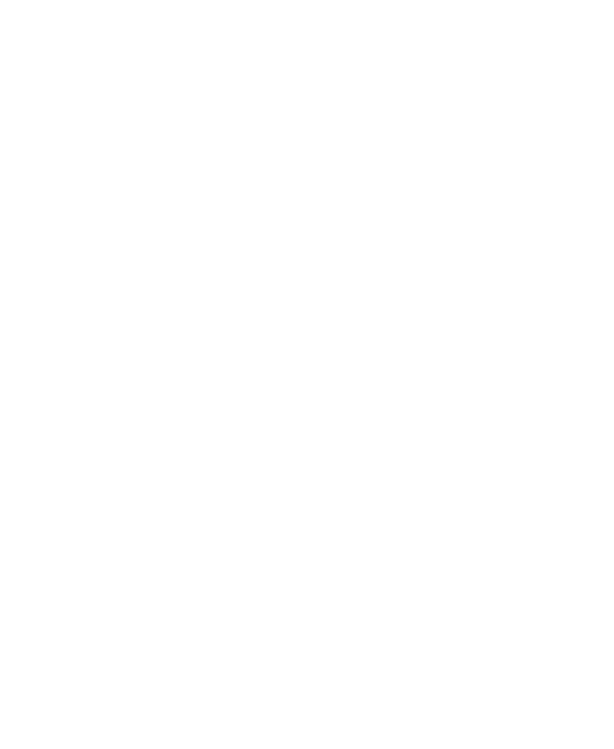 Starship Landing Retreat