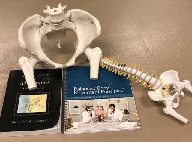 Learn more about Pilates & Anatomy with Balanced Body Pilates Teacher Training and Workshops at Retrofit Pilates !