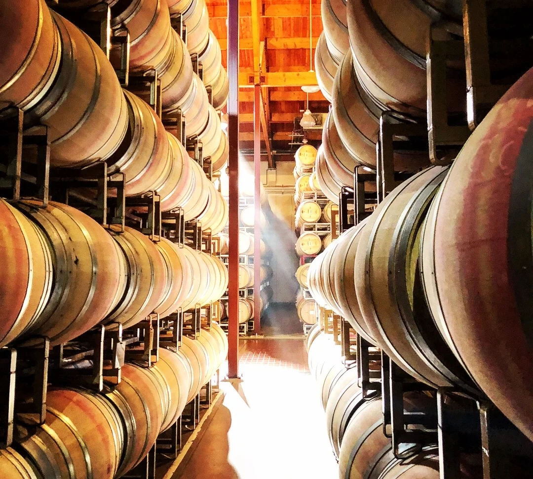 Barrel Room shot with Sunray.JPG