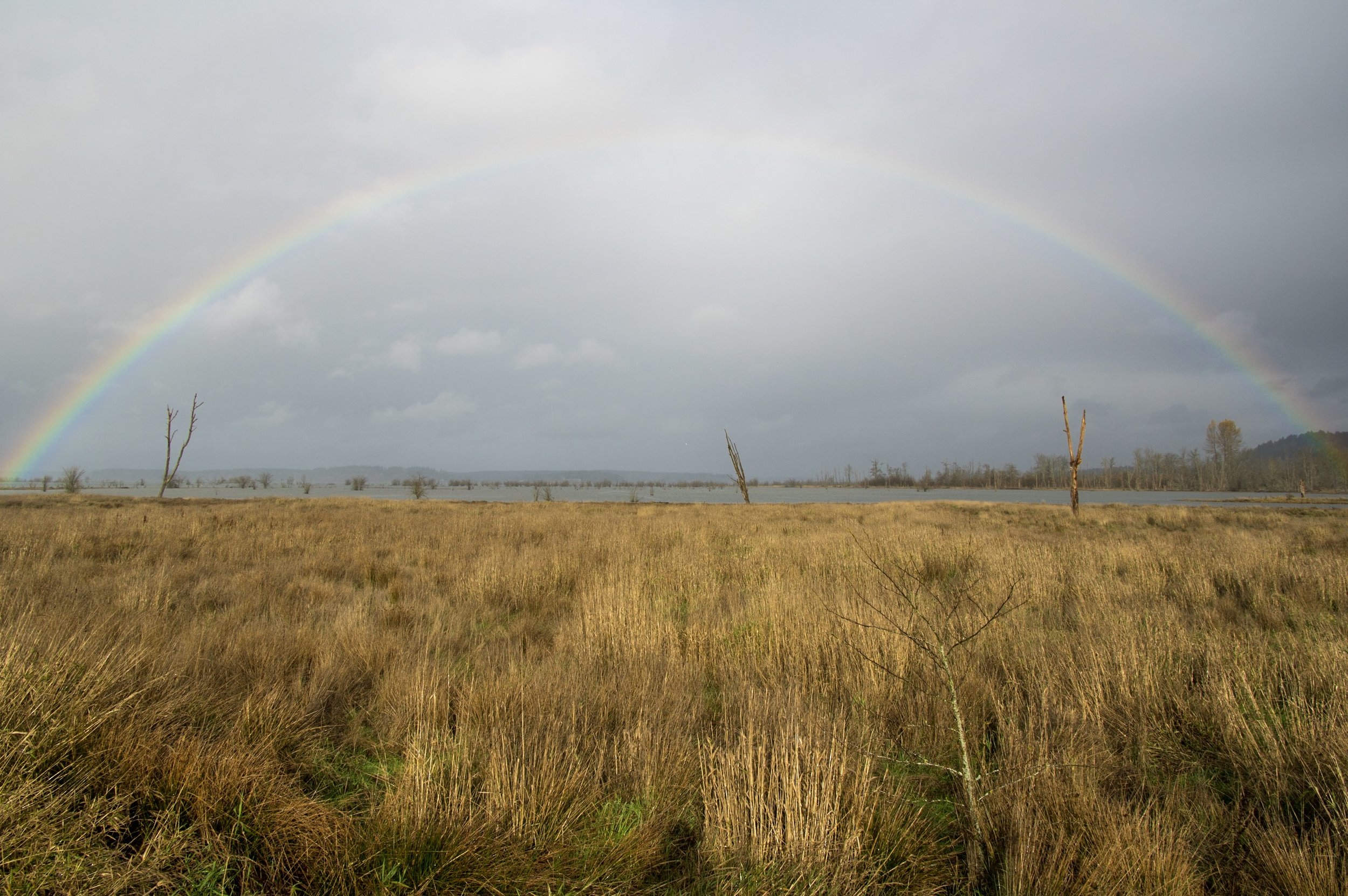 Nisqually Rainbow