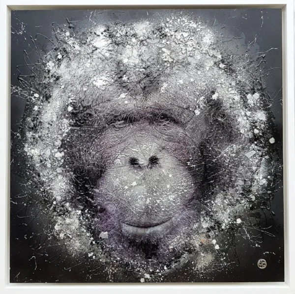 The Bornean Orangutan.jpg