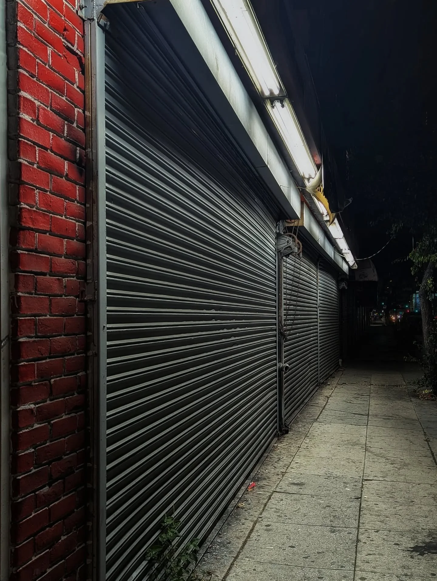 You can say you're a photographer. You can. 
Although, I would argue that you "take pictures." 
A photographer knows how to use a standalone  camera; picks a certain lens, adjusts camera speed, ISO, and aperture. 
Nowadays, you can do thi