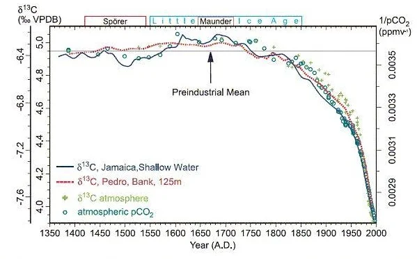 The proportion of the isotope, carbon-13 over time showing a dramatic decrease in recent decades.