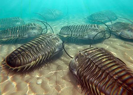 Cambrian 2.0