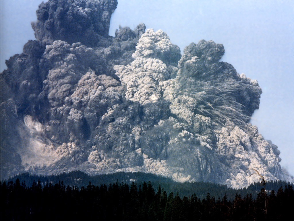 Actual photo of the 1981 eruption of Mt. St. Helens; a relatively docile eruption compared to an ultra-Plinian eruption. Photo Credit: National Geographic