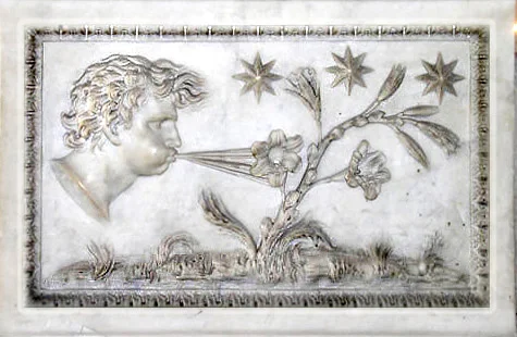 Aeolus pulling a spider web off a daisy with his teeth.