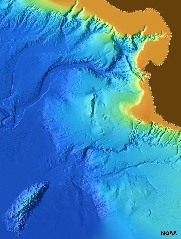 This is a color-enhanced satellite image of Monterey Canyon off the coast of California. These submarine canyons were carved by turbidity flows over time. There are similar canyons cut along the Atlantic coast as well, including tear-drop islands. Image Credit: NOAA
