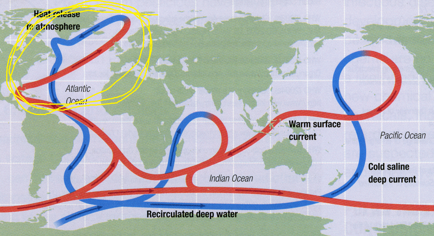 Fig. 3 A general picture of the Atlantic Meridional Overturning Circulation (AMOC) circled in yellow.