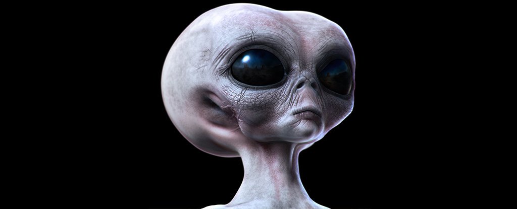 Sally: "What the heck is that thing?" Rook: "Oh, that's Jimmy's great, great, great (x32) grandfather. He used to be human." Sally: "So all these 'aliens' making crop circles are really just senile 1,000-year-old people?" Rook: "Yep. Pretty much. You'd think the two eyes, nose, mouth, and bipedalism would have given that away, but what do I know."