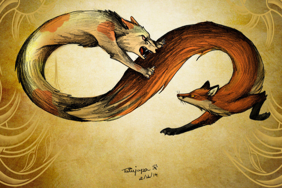 Paradox fox The Fermi