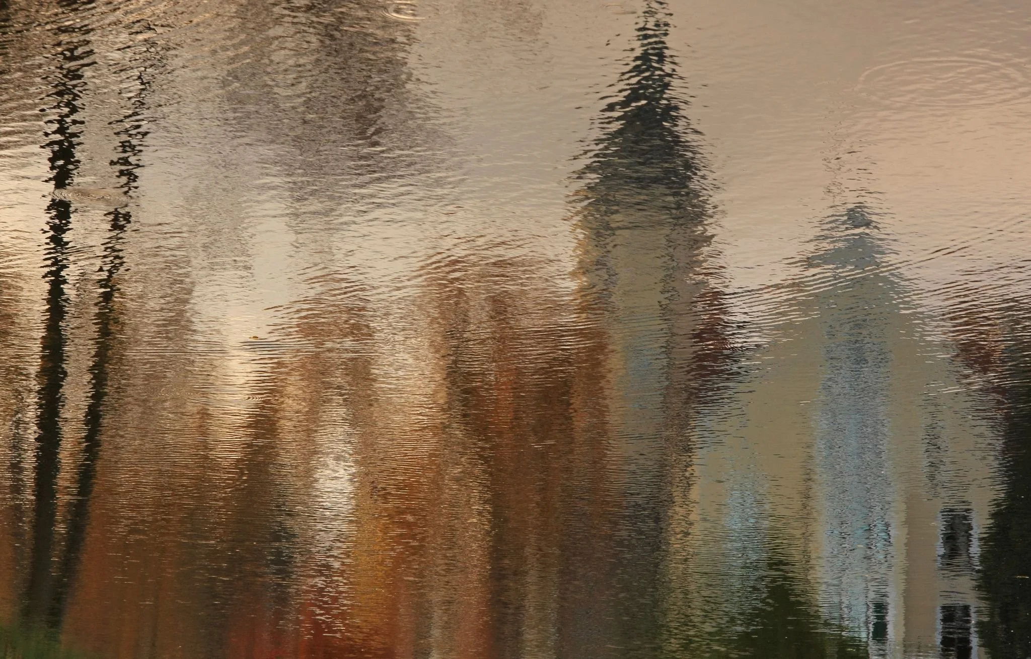 Reflection