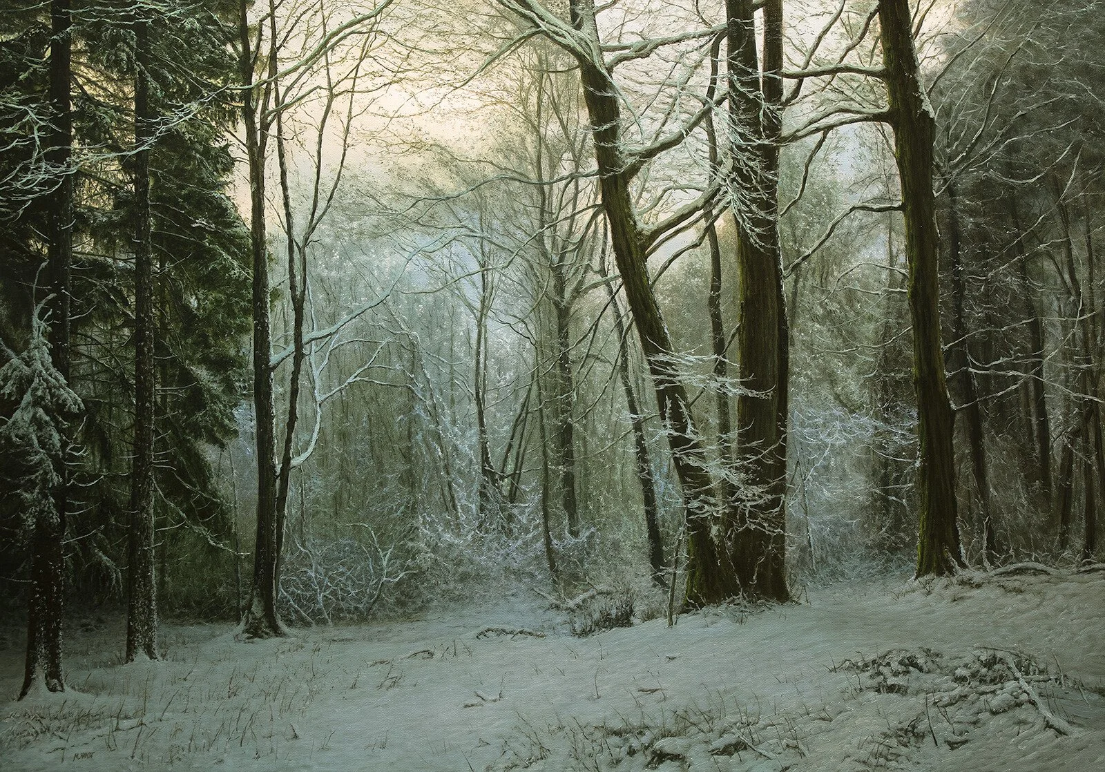 Solitude
