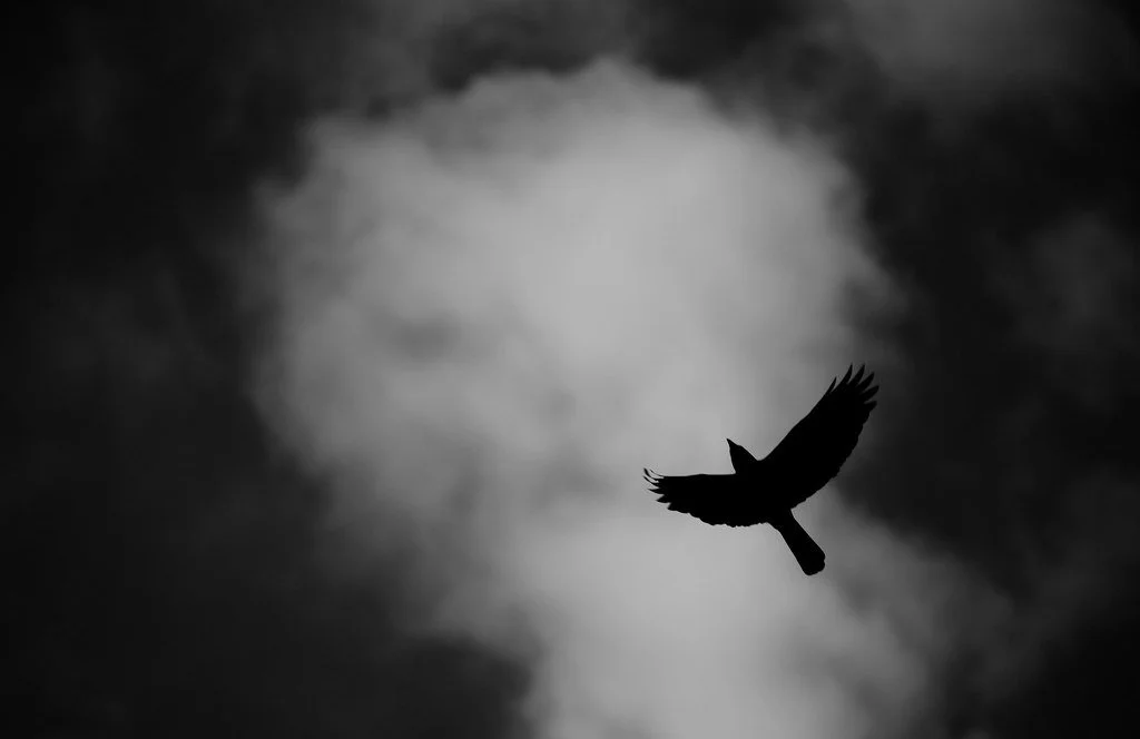 Missing Senses