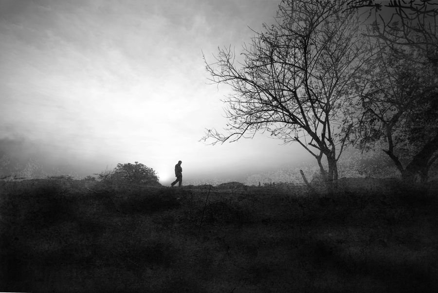 Lost Within