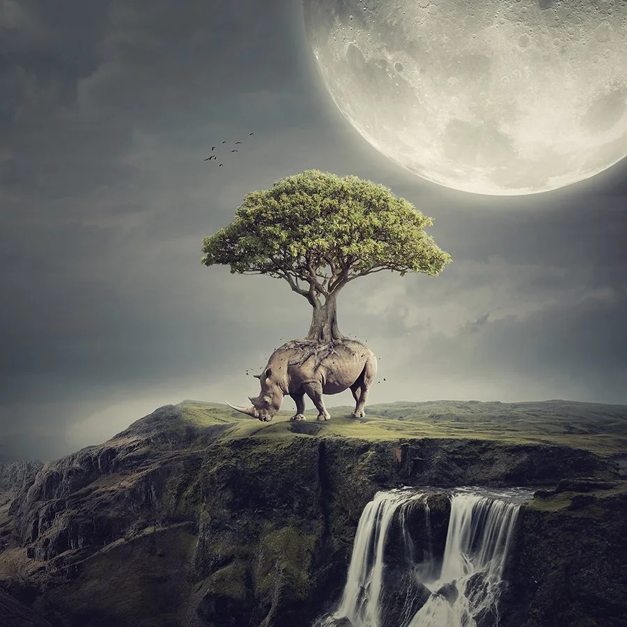Traveler