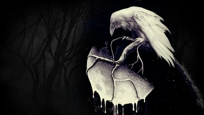 Where in the Night