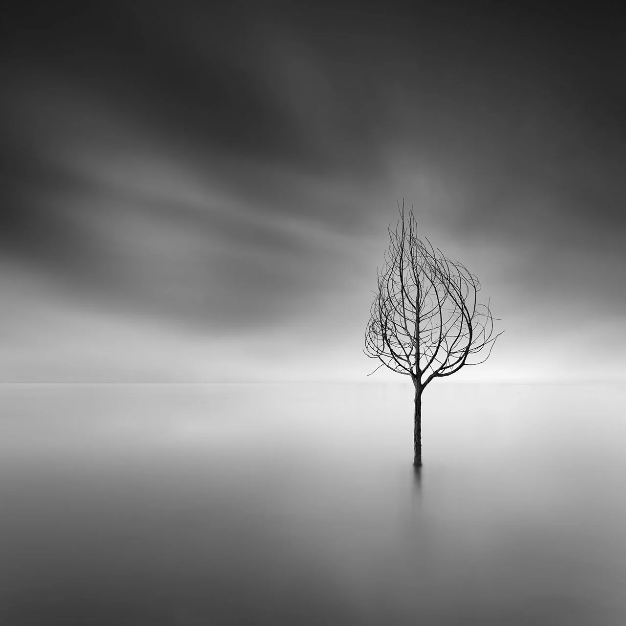 Taciturn