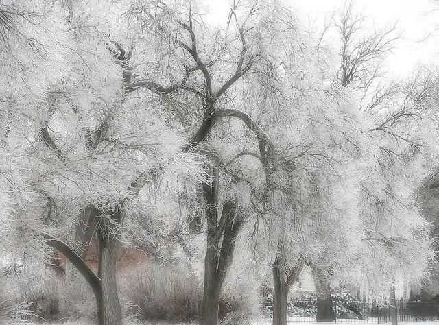 December