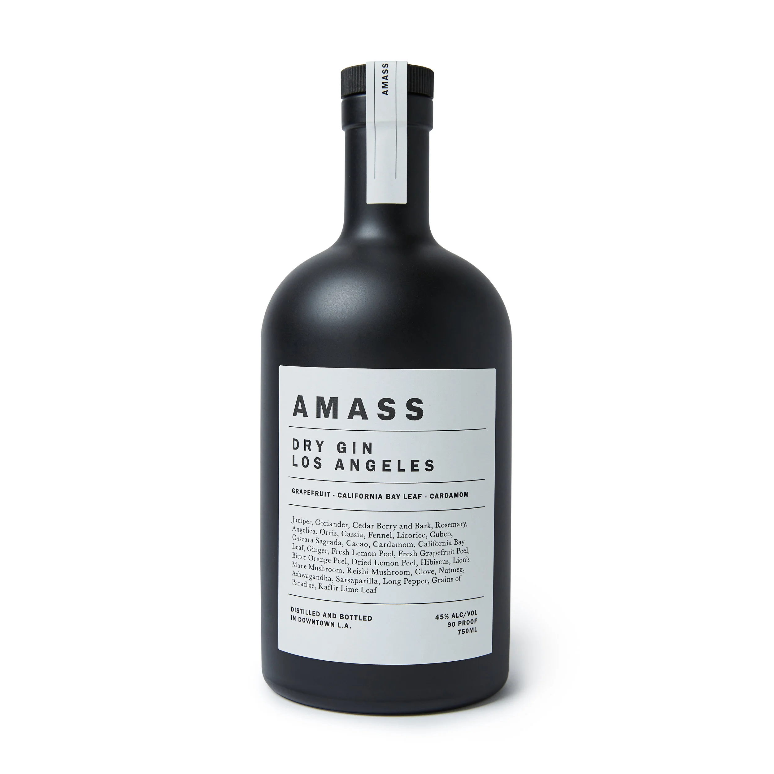 2018.11.28_Amass0913 1.jpg