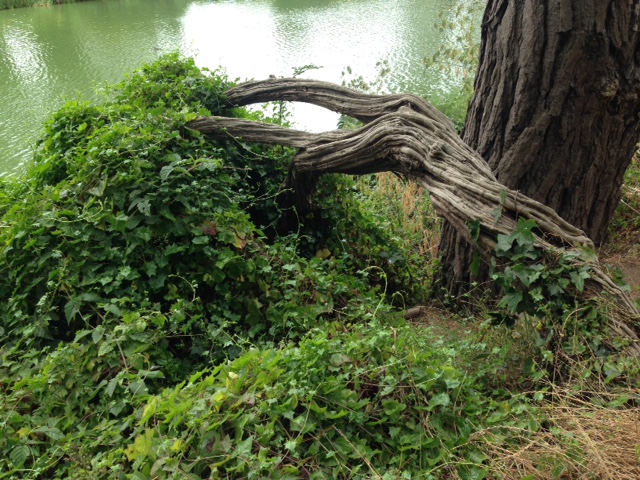 Benefits Of An Angel Card Reading