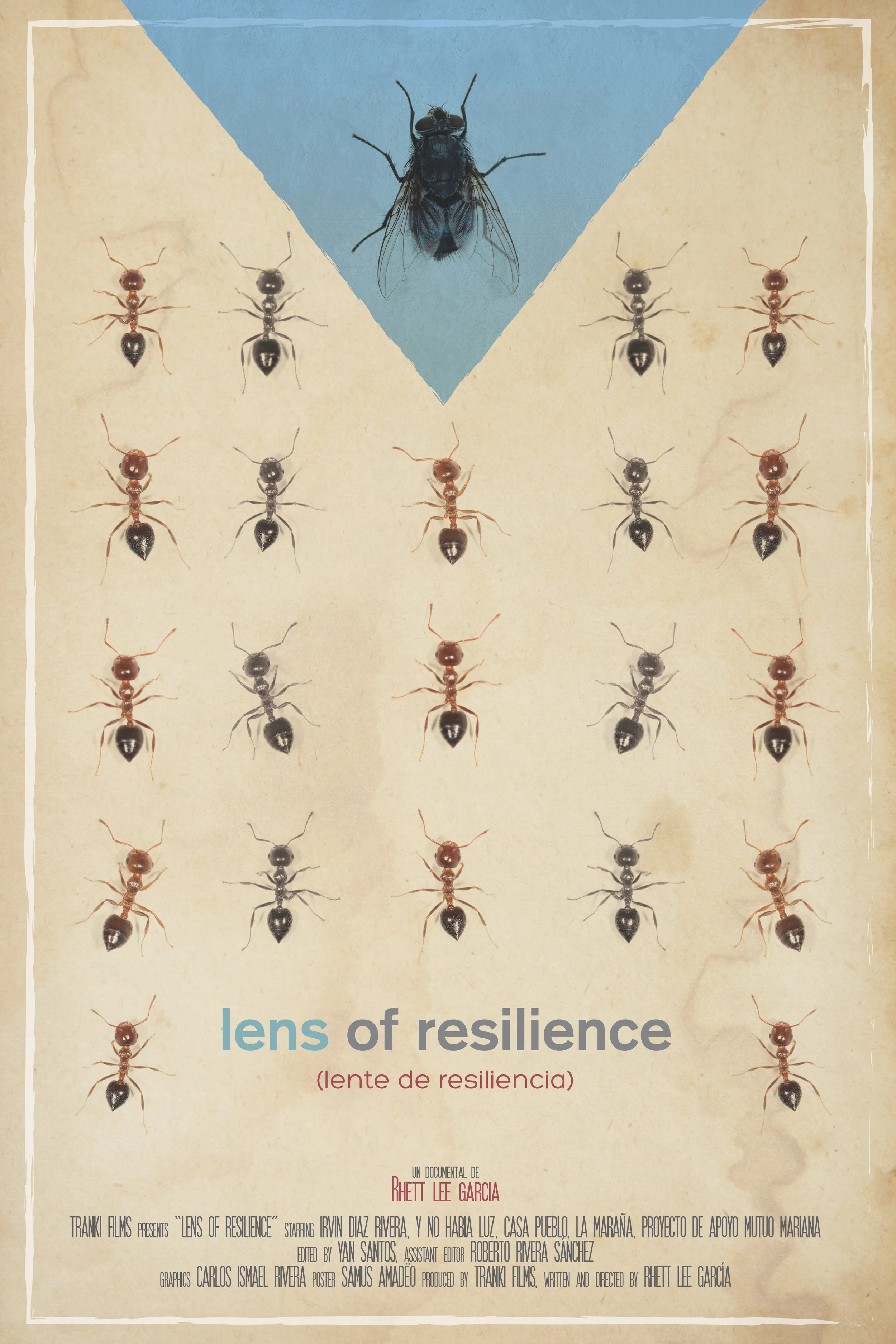 Poster Lente de resiliencia web.jpg