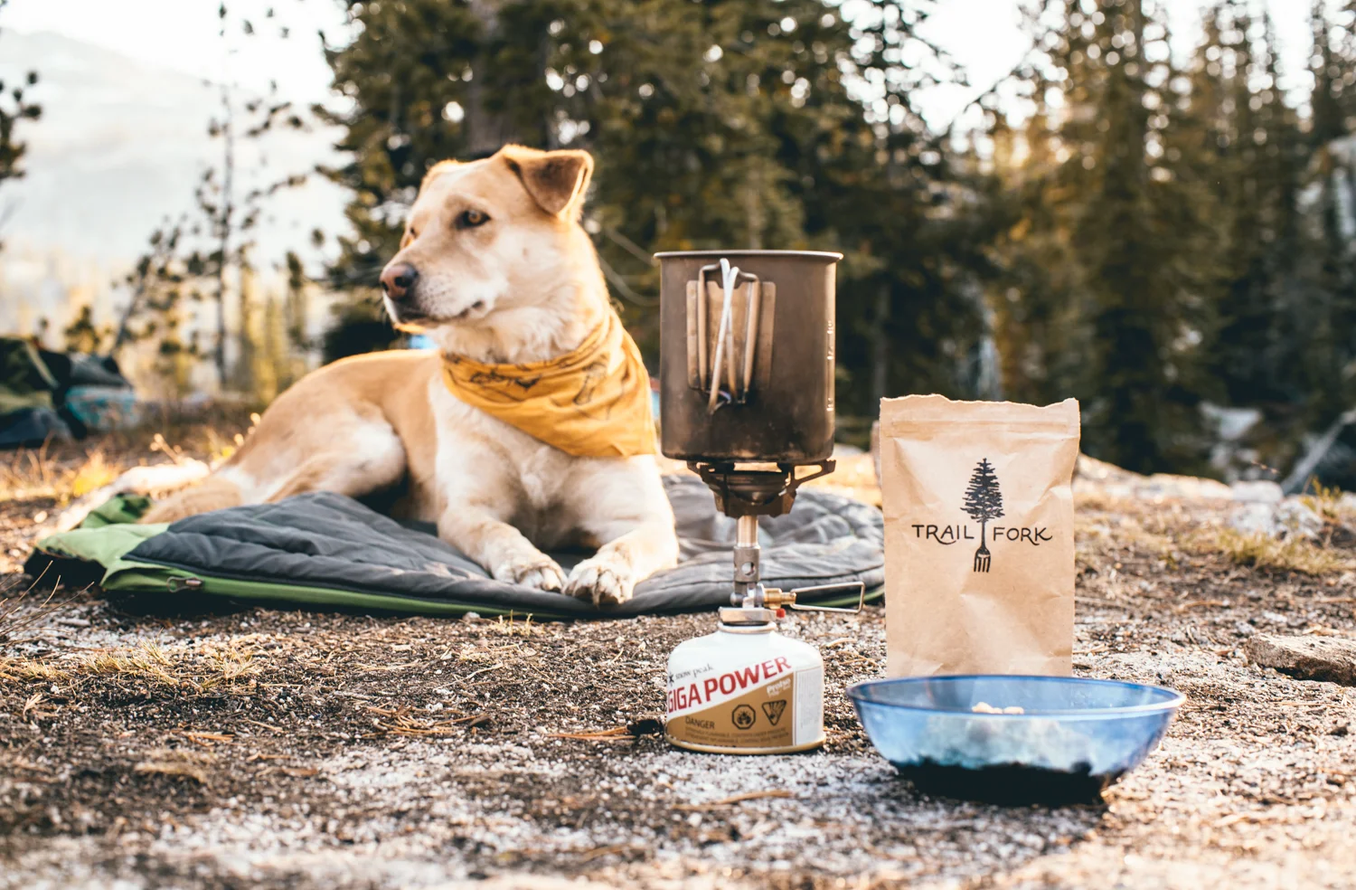 TrailFork2.jpg