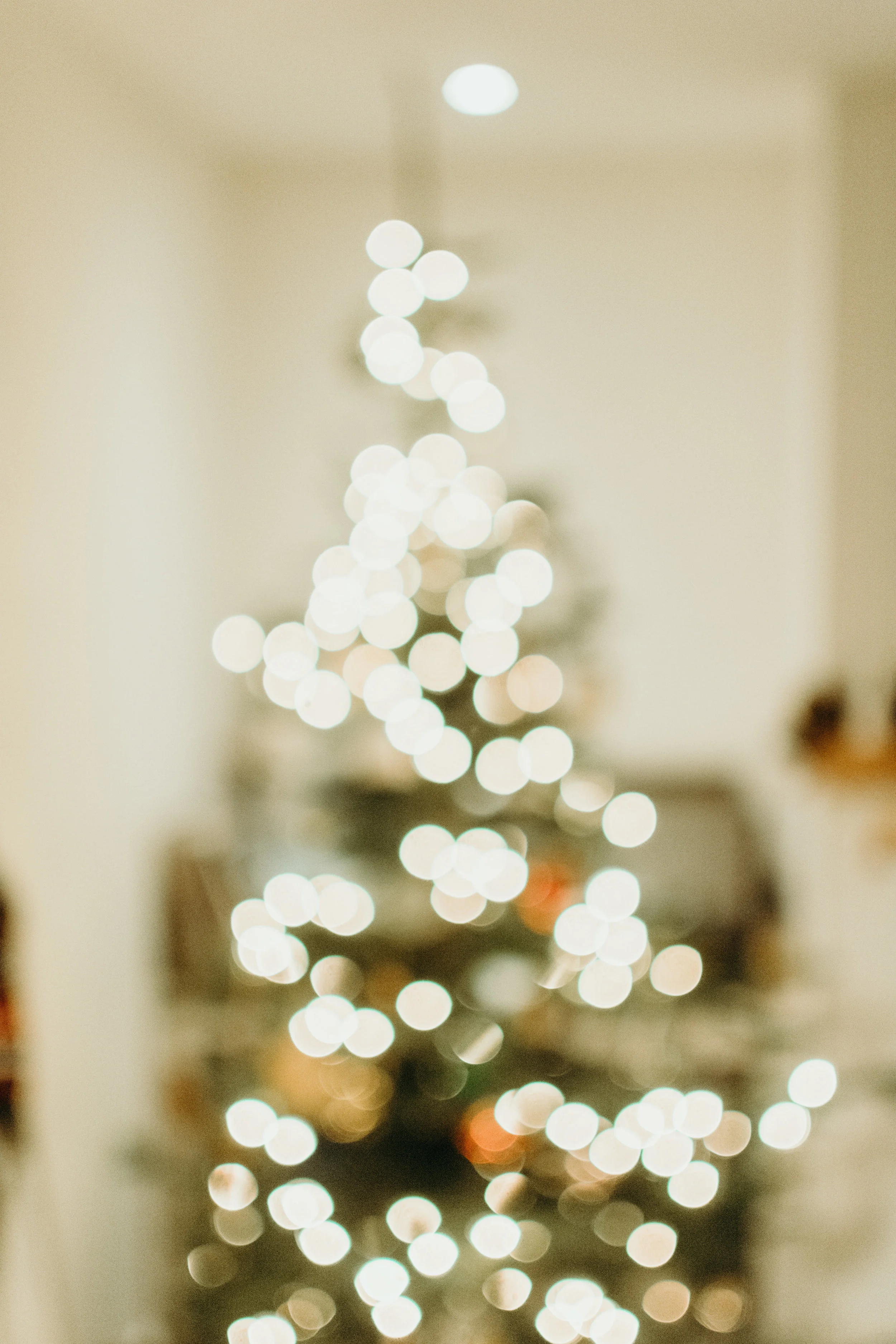 Sustainable Christmas - Madison Jamie Photograhpy - @madisonjoue-1782.jpg