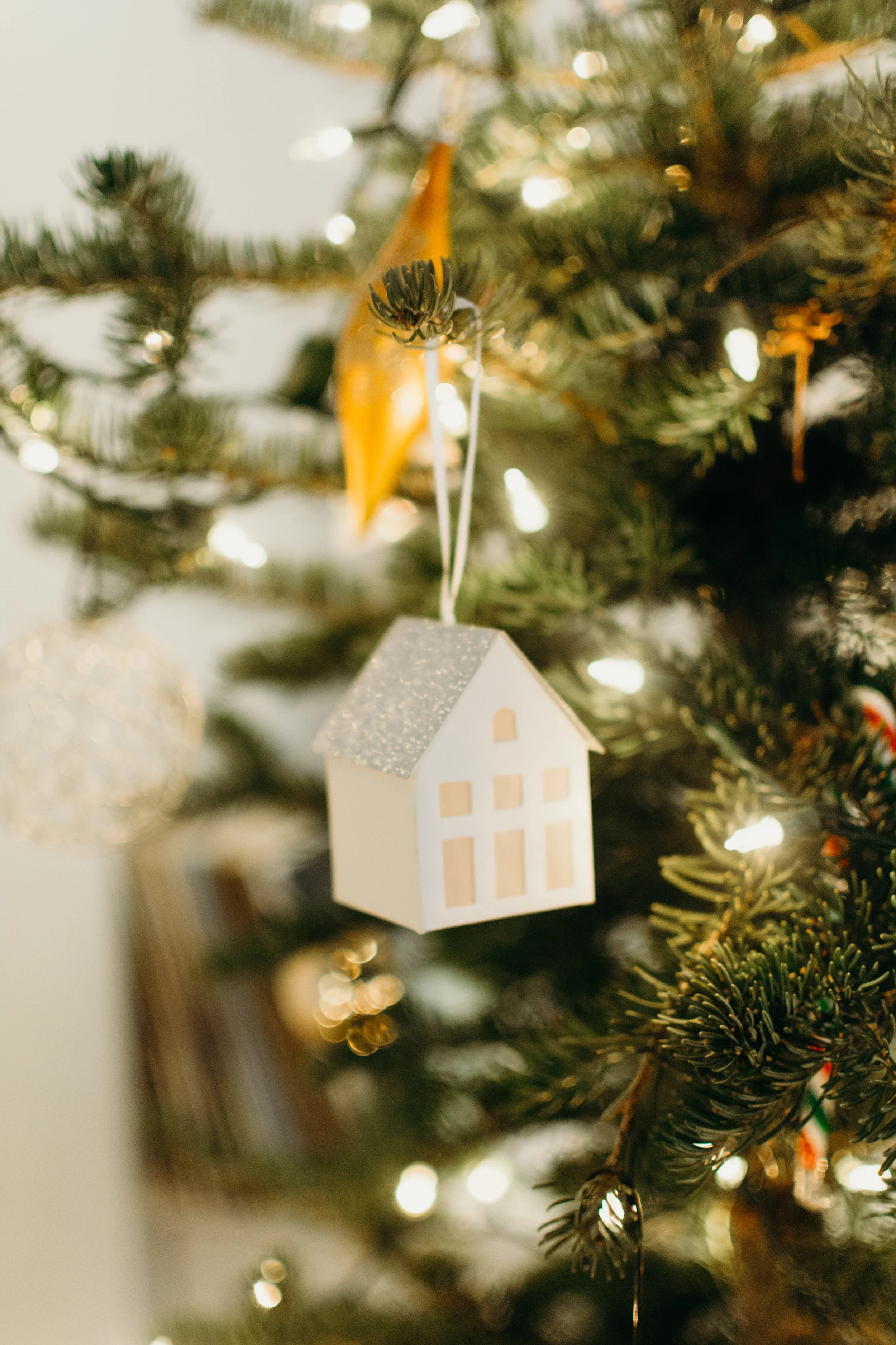 Sustainable Christmas - Madison Jamie Photograhpy - @madisonjoue-1739.jpg