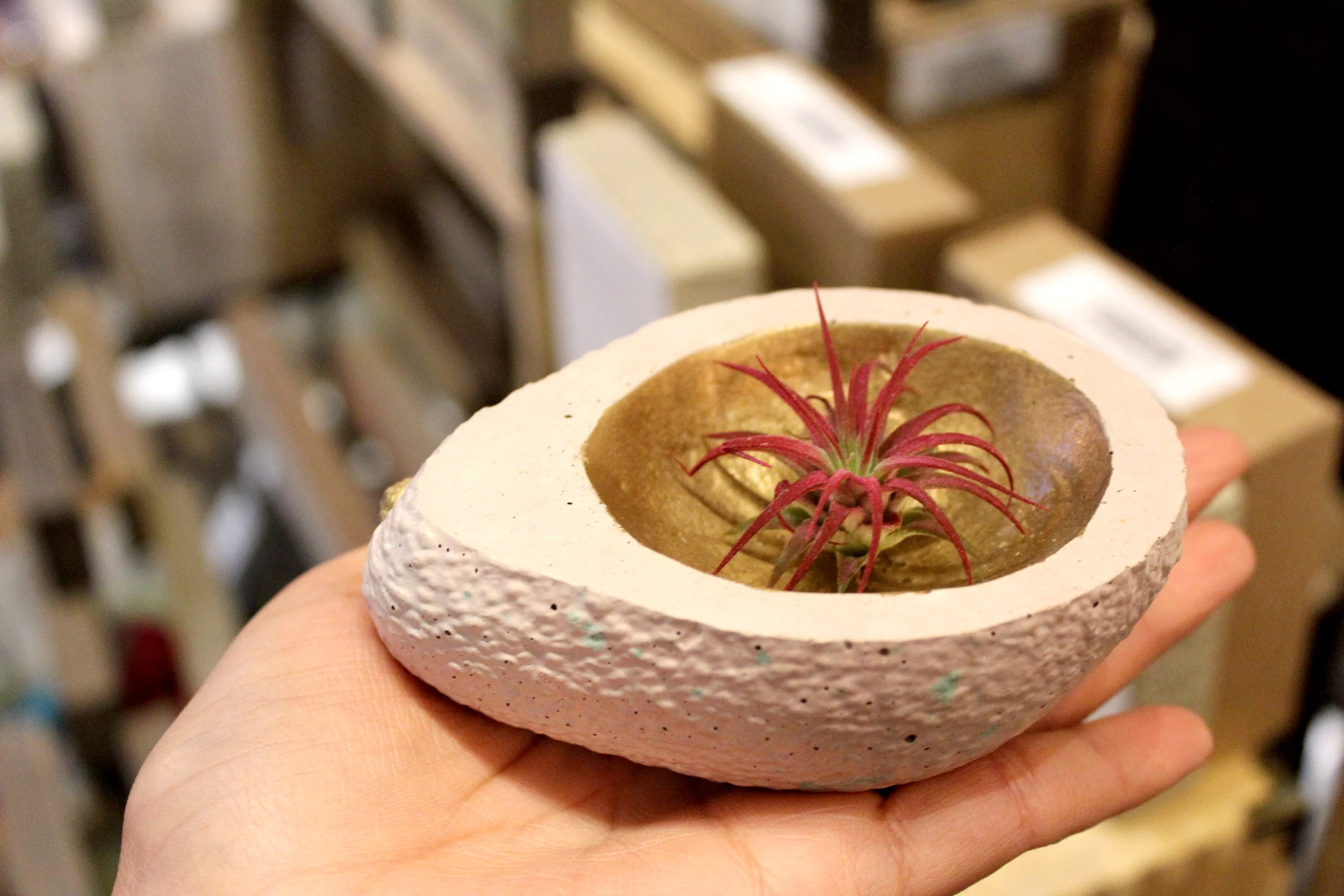 Calling all avocado lovers – this adorable plant-holder from Simply Beautiful (Toronto) is a sweet little gift for anyone looking to spruce up their home décor.
