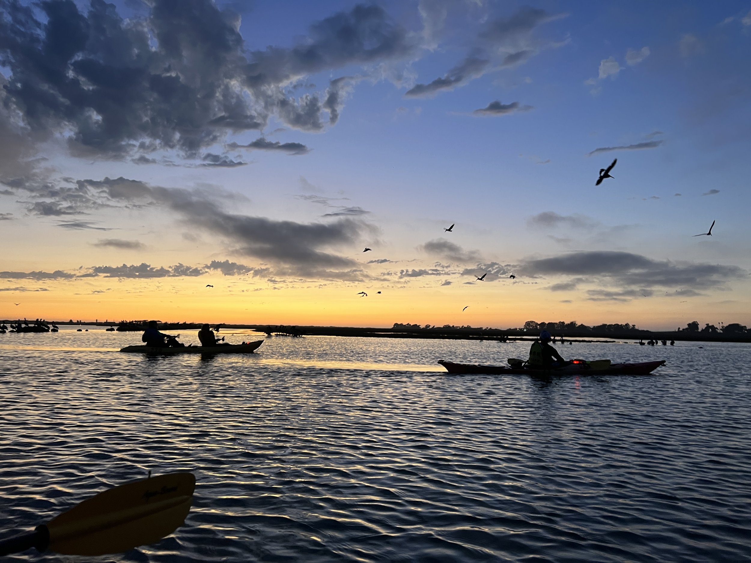 Night Kayaking