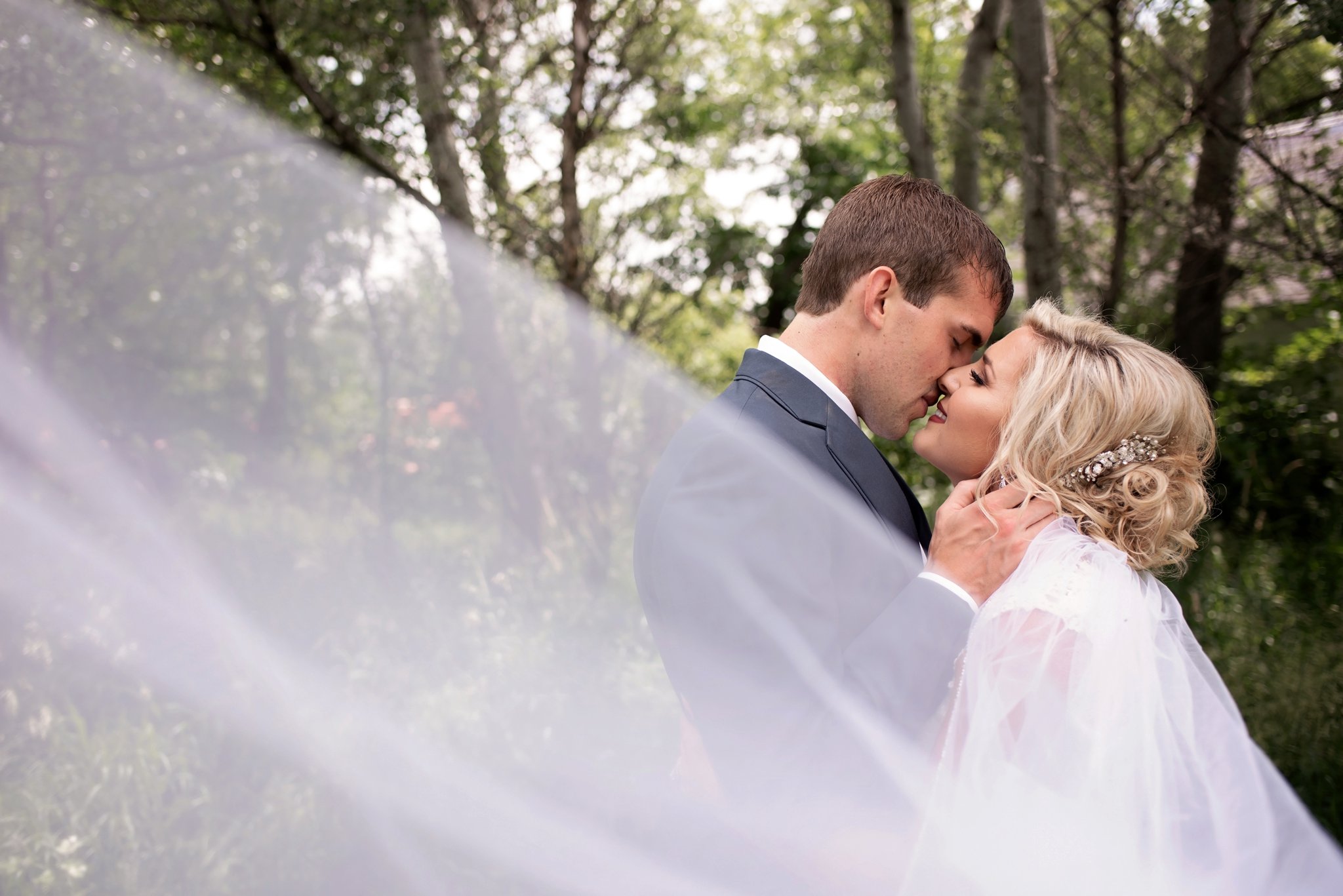 cathedral veil with loose updo